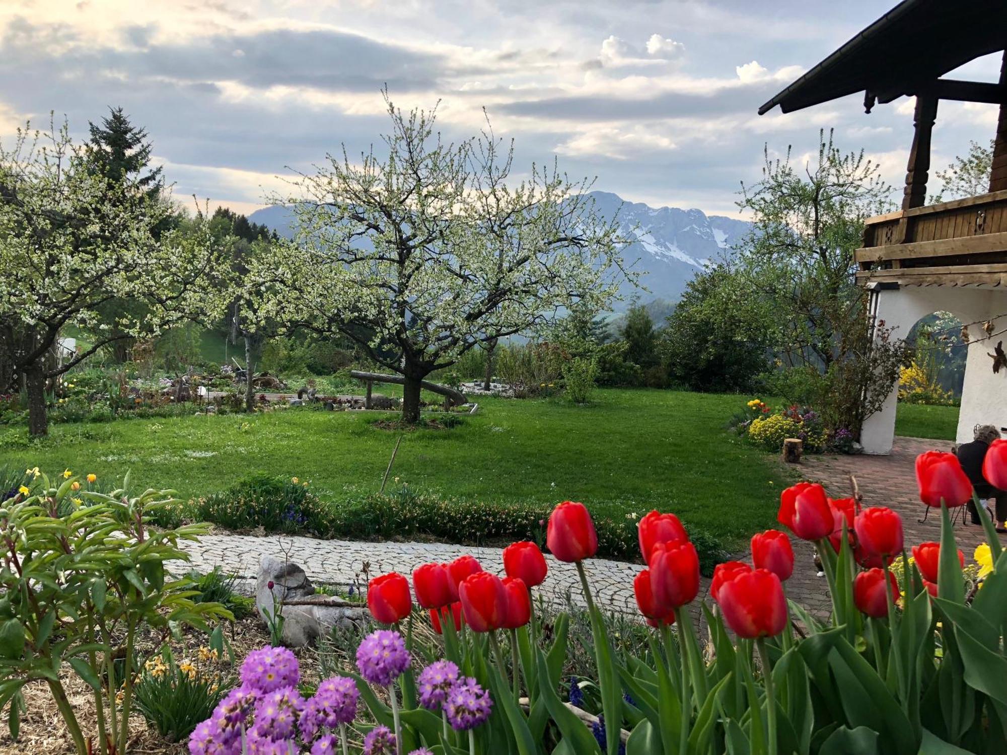 Appartement Bergromantik Fritzenlehen Berchtesgaden
